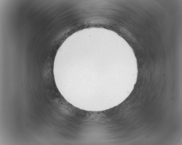 X0000071390824200607071906