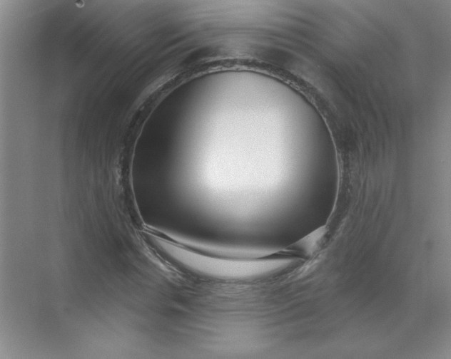 X0000071390826200607071906