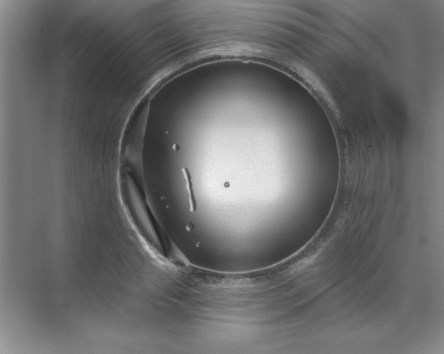 X0000071390845200607071906