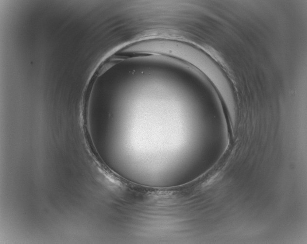 X0000071390846200607071906