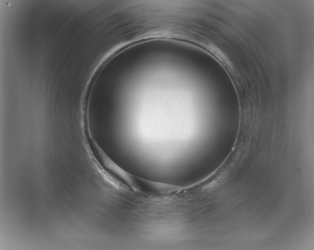 X0000071390854200607071906