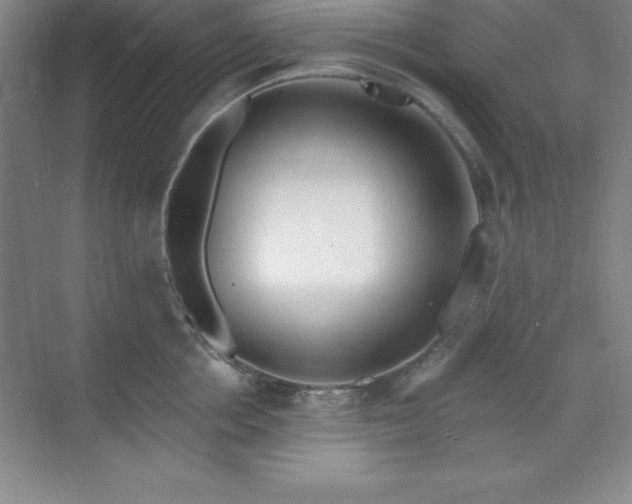 X0000071390858200607071906