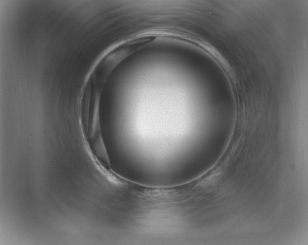 X0000071390862200607071906