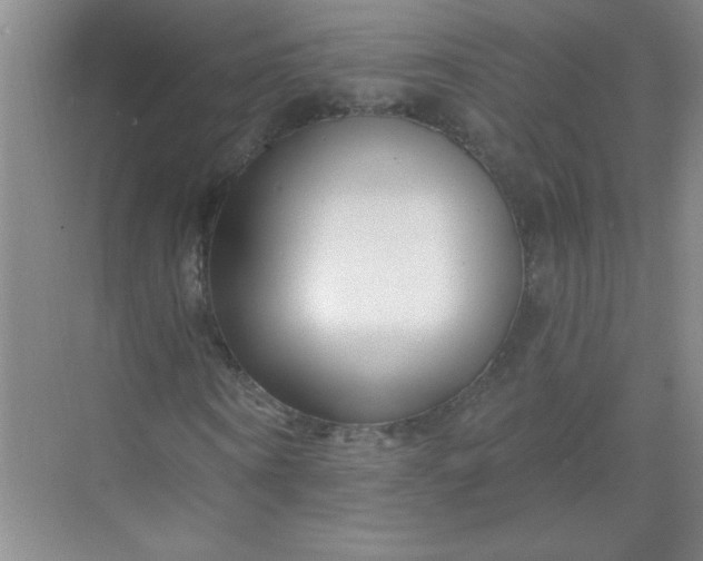 X0000071390866200607071905