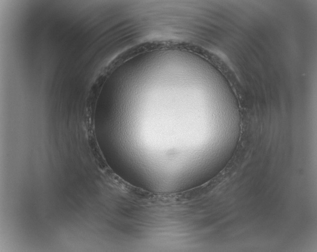 X0000071390871200607071905