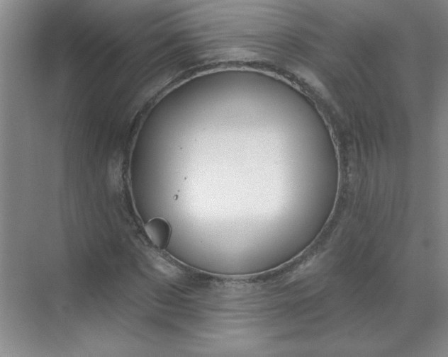 X0000071390873200607071905