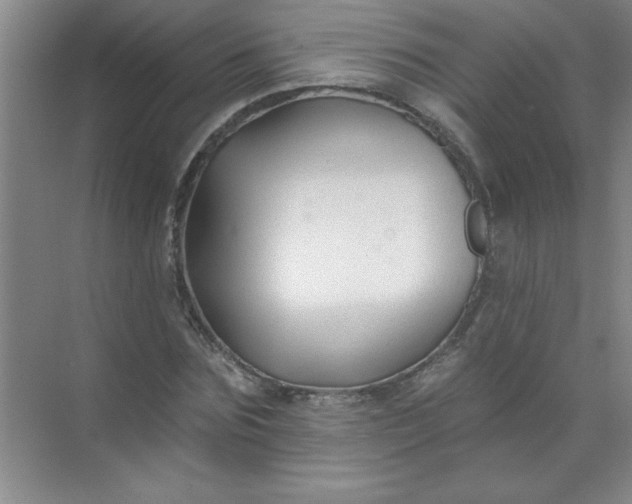 X0000071390875200607071905