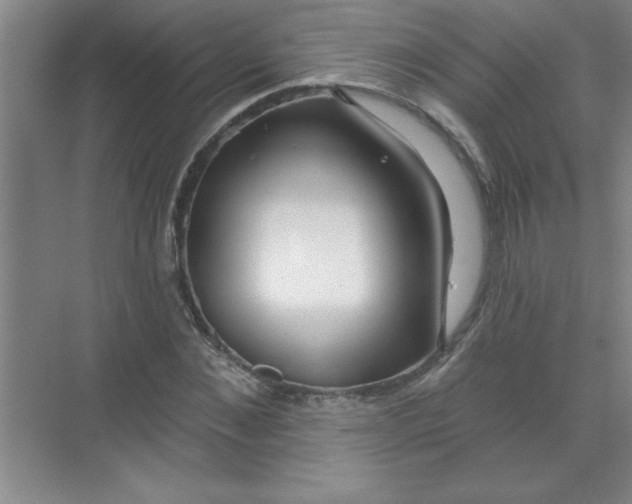 X0000071390876200607071905