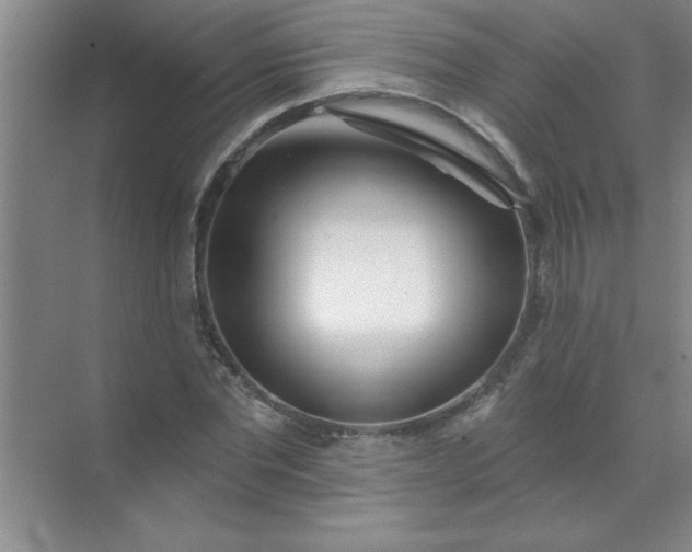 X0000071390877200607071905