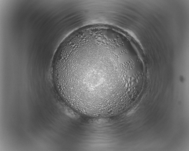 X0000071390879200607071905