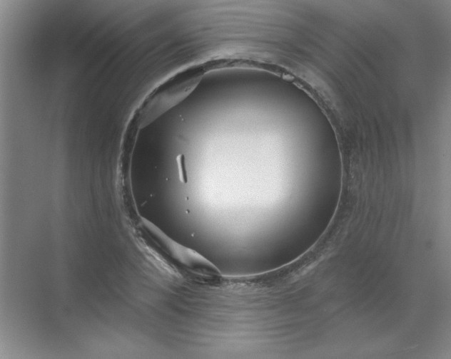 X0000071390880200607071905