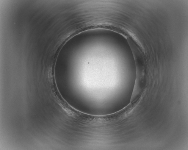 X0000071390881200607071905