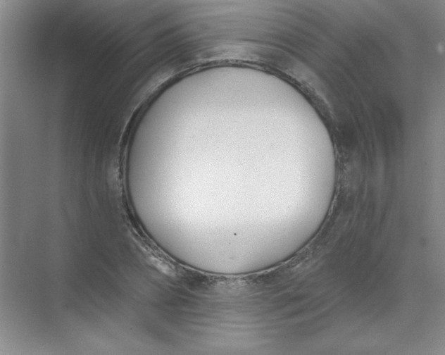 X0000071390882200607071905