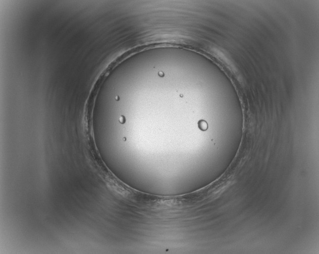 X0000071390883200607071905