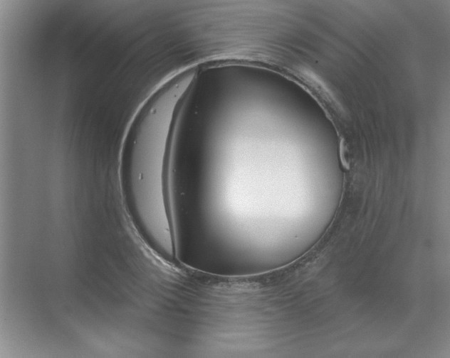 X0000071390884200607071905