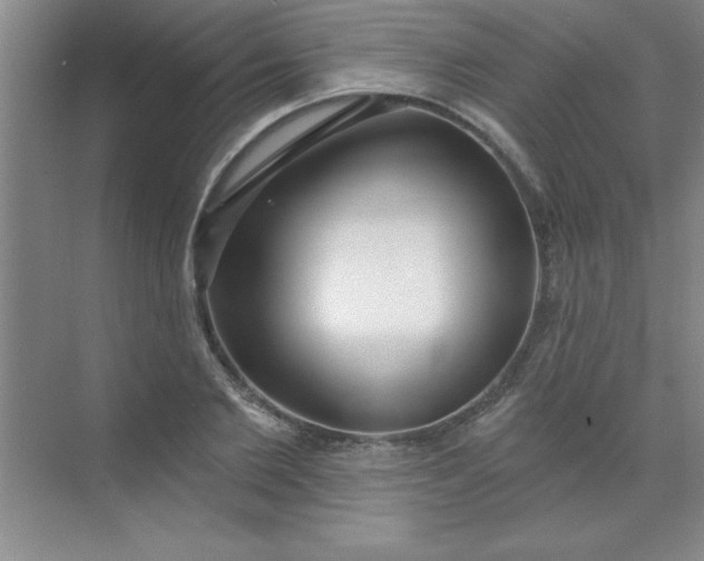 X0000071390885200607071905