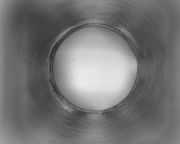 X0000071390886200607071905