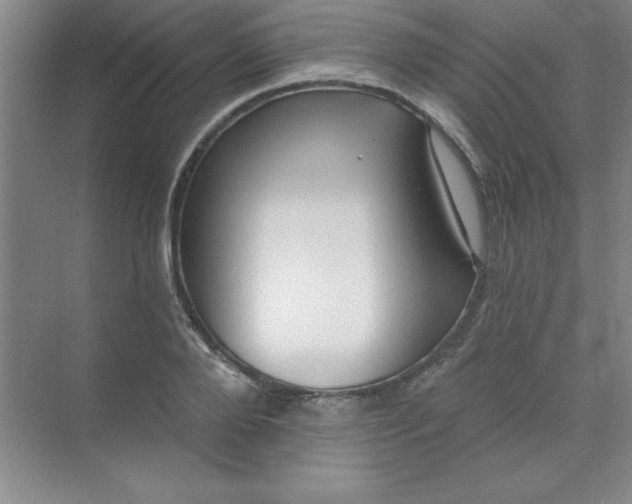 X0000071390888200607071905