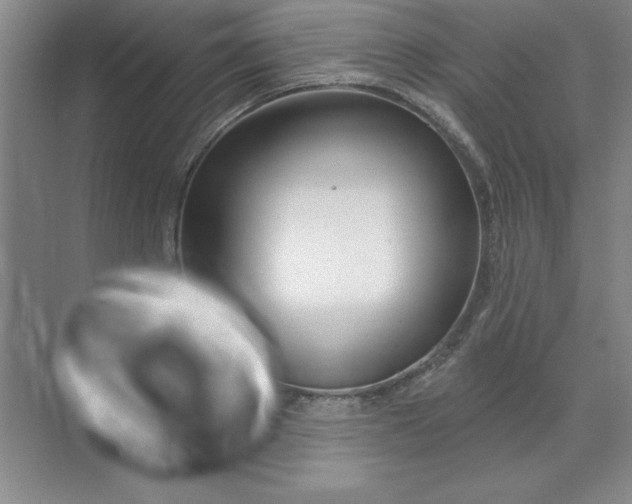 X0000071390889200607071905