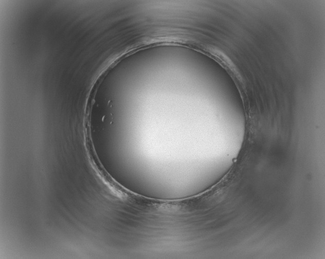 X0000071390890200607071905