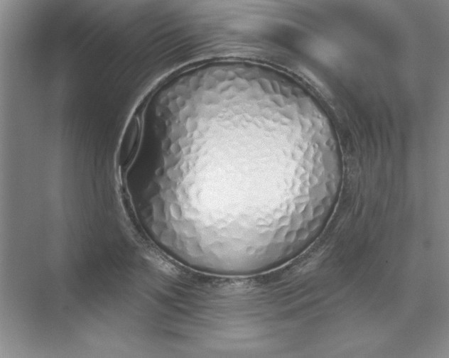 X0000071390891200607071905