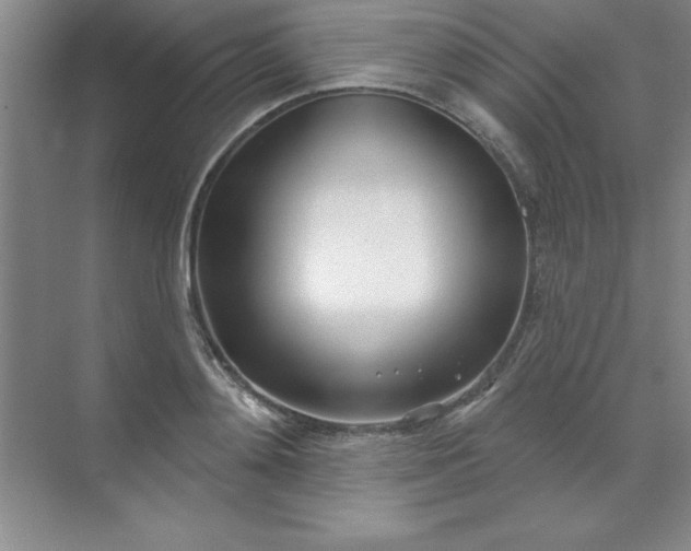 X0000071390892200607071905