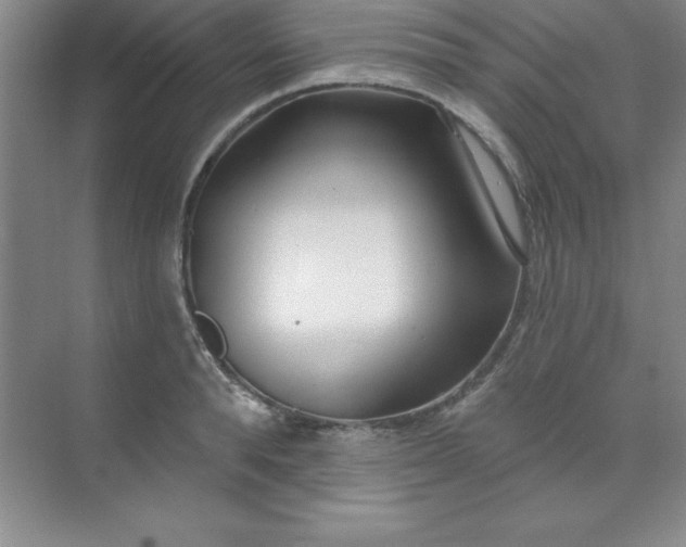 X0000071390896200607071905