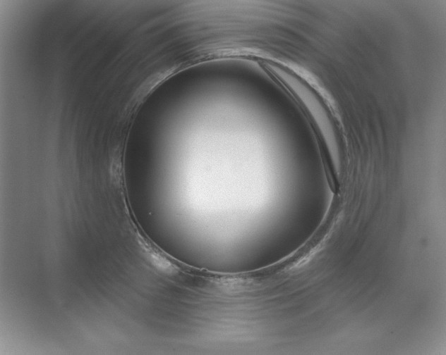 X0000071390897200607071905