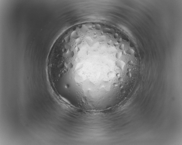 X0000071390899200607071905