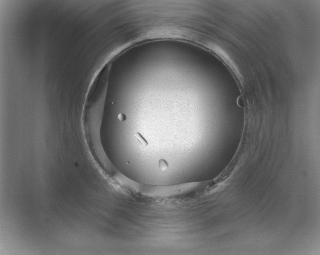 X0000071390901200607071905