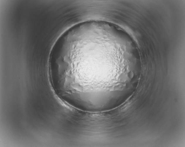 X0000071390903200607071905