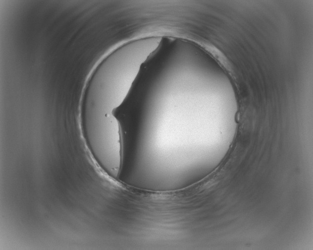 X0000071390904200607071905