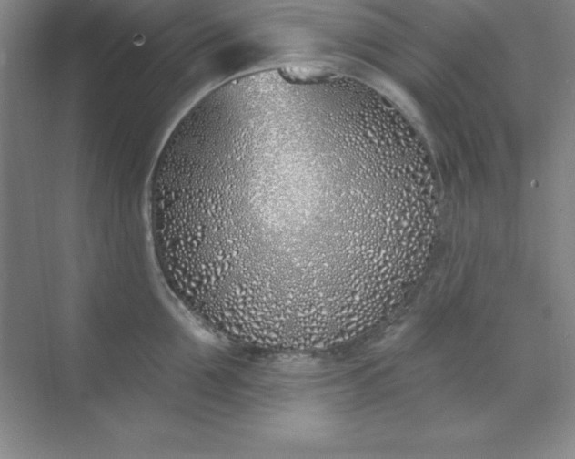 X0000071390907200607071905