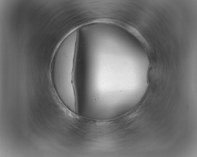 X0000071390908200607071905