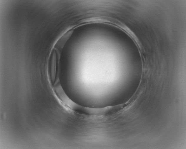 X0000071390909200607071905