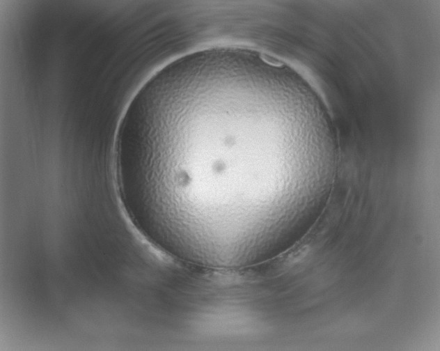 X0000071390911200607071905