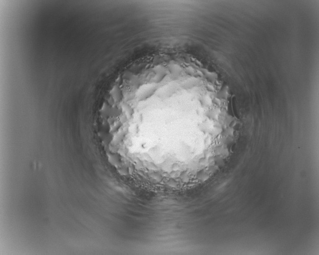 X0000071390913200607071904