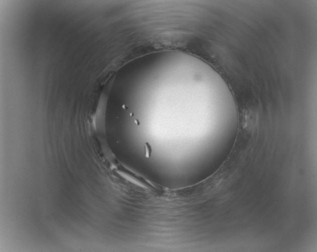 X0000071390915200607071904