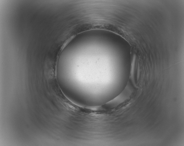 X0000071390916200607071904