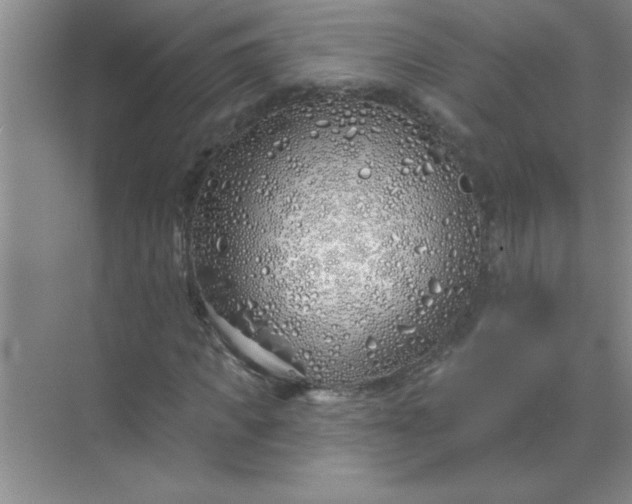 X0000071390917200607071904