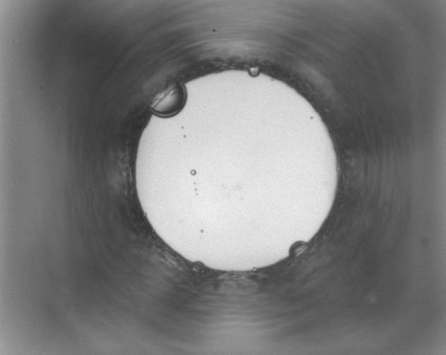 X0000071390918200607071904