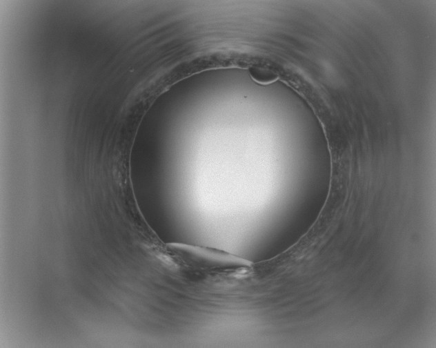 X0000071390919200607071904