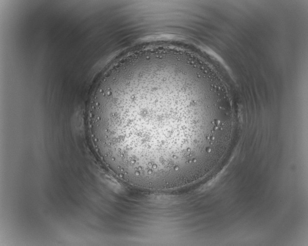 X0000071390921200607071904