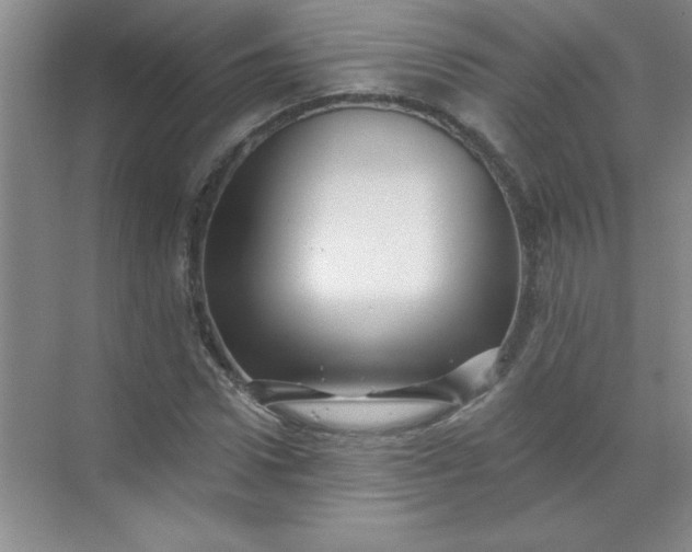 X0000071390922200607071904