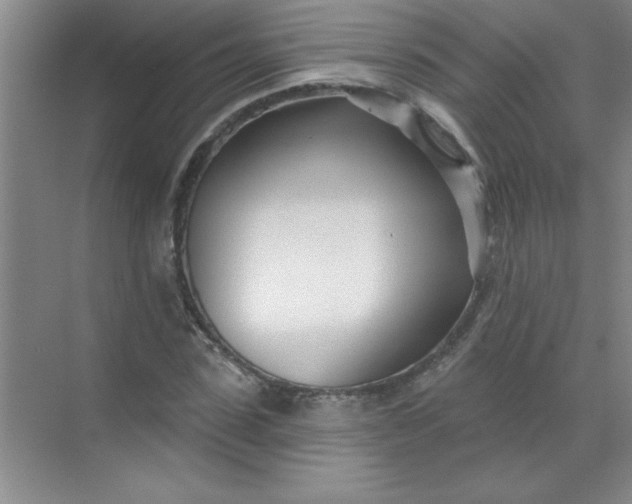 X0000071390923200607071904