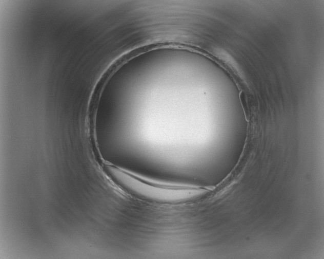 X0000071390924200607071904