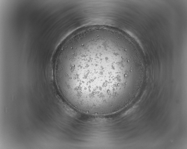 X0000071390925200607071904