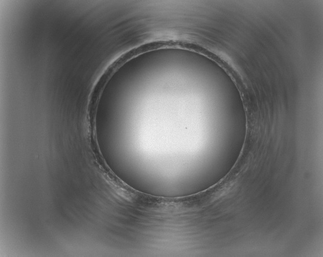 X0000071390927200607071904