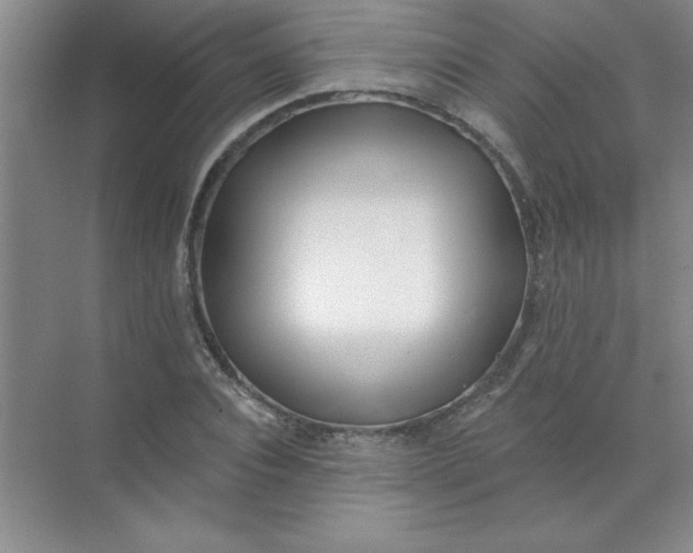 X0000071390928200607071904