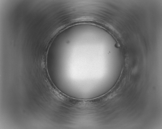 X0000071390929200607071904